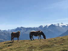 France-Savoy-Mont Blanc Ride